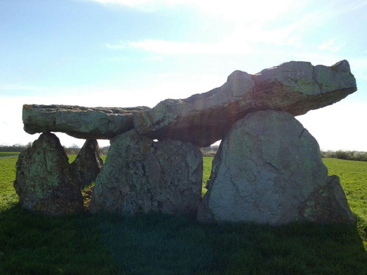 Dolmen de Briande (A) (Arçay)