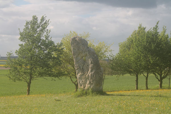 Menhir dit La Pierre Percée (Draché)