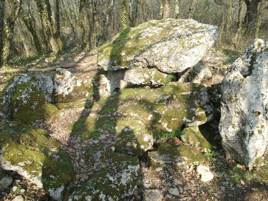 Dolmen d'Arlait (Château-Larcher)