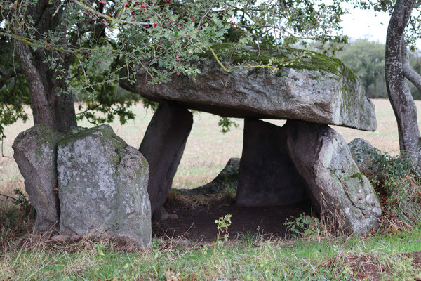 Dolmen dit la Pierre à la Marthe (Montchevrier)