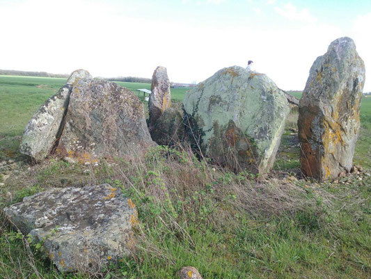 Dolmen dit Le Gras du Chien (Saint Léger de Montbrun