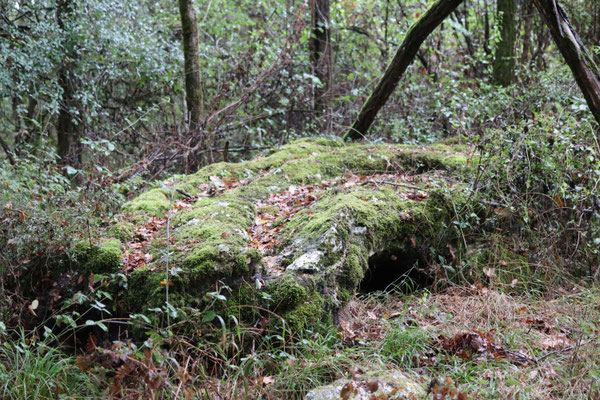 Dolmen des Barges (Pouligny-Saint-Pierre)