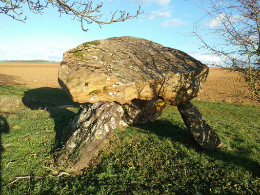 Dolmen de Fontenaille (Champigny-le-Sec)