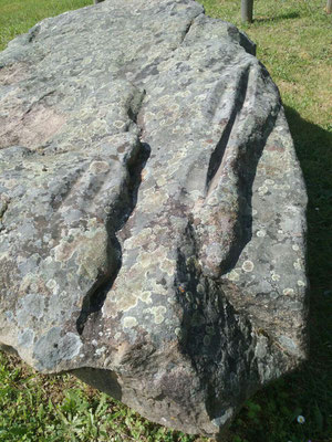 Menhir-polissoir de Souhé (Naintré), monolithe ayant d'abord servi de polissoir avant d'être dressé comme menhir à une époque ultérieure.