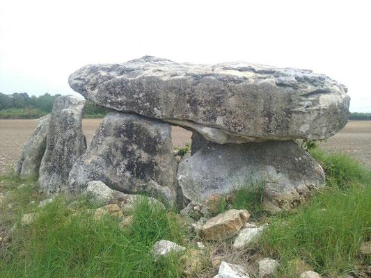 Dolmen dit la Pierre Levée (Pussigny)