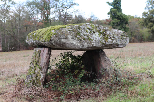 Dolmen des Gorces (Montgarneau)