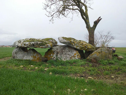 Dolmen de Vaon (Trois-Moutiers)