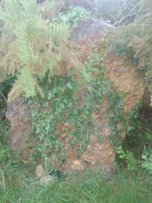 Menhir de la Ruère Judas (Thilouze)