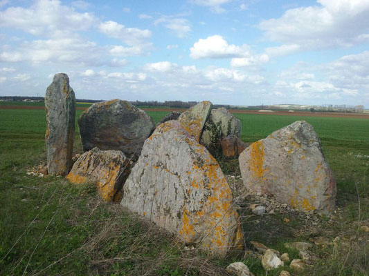 Dolmen dit Le Gras du Chien (Saint Léger de Montbrun