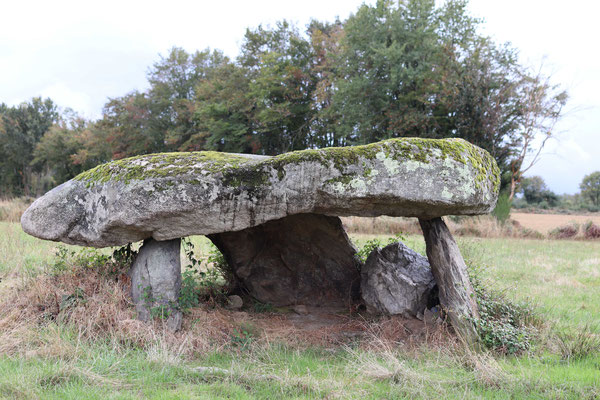 Dolmen dit la Pierre Là (Saint-Plantaire)