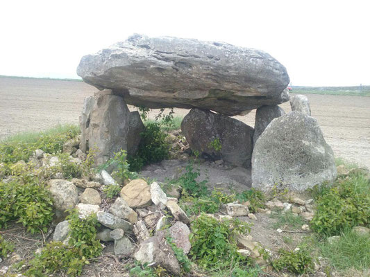 Dolmen dit la Pierre Levée (Pussigny)