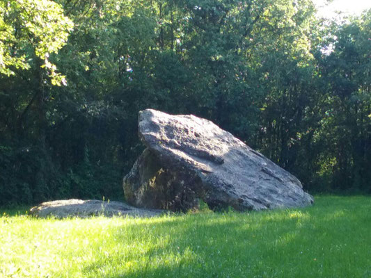 Dolmen dit les Palets-de-Gargantua (Charnizay)
