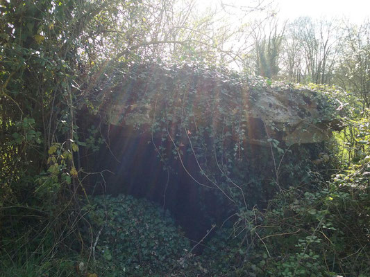 Dolmen dit la Pierre de Tartahuiche (Taizé)