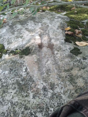 Dolmen dit La Pierre Couverte (Thizay) détail du polissoir 1