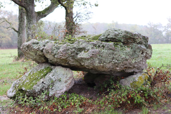 Dolmen de Sénévaut (Ciron)