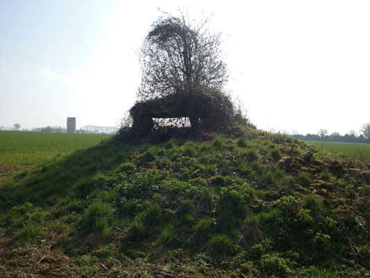 Dolmen dit La Pierre Levée (Roches-Prémarie-Andillé)