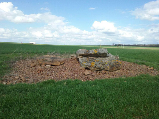Dolmen de Maranzais (D) (Taizé)