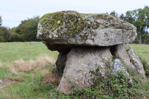 Dolmen dit la Pierre Là (Saint-Plantaire)