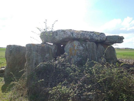 Dolmen de Maranzais (Taizé)