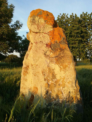 Menhir dit Pierre Levée (Naintré), d'époque gallo-romaine, avec une inscription latine.