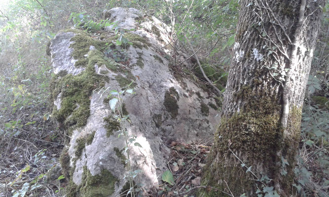 Dolmen du Moulin Créchef (Coussay-les-Bois)