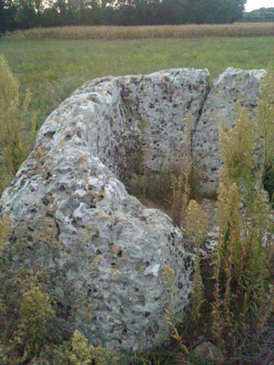 Dolmen dit les Pierres Closes de Charas (A) (Saint-Laurent-de-la-Prée)