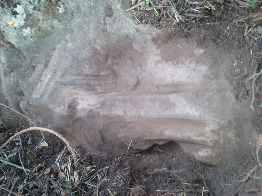 Dolmen dit La Pierre Couverte (Thizay) détail du polissoir 2