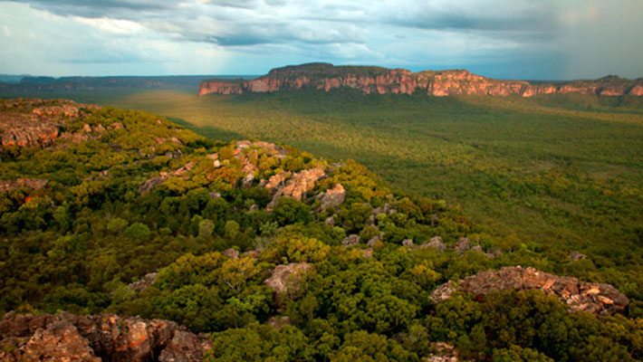 Arnhem Land, son habitat