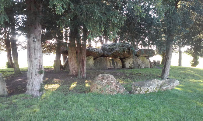 Dolmen dit de Mettray (Saint-Antoine-Du-Rocher)