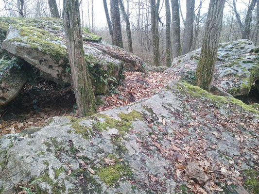 Dolmen de la Roche-Vernaize (Trois-Moutiers)