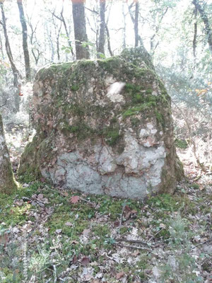 Menhir de la Prade (Chaumussay)