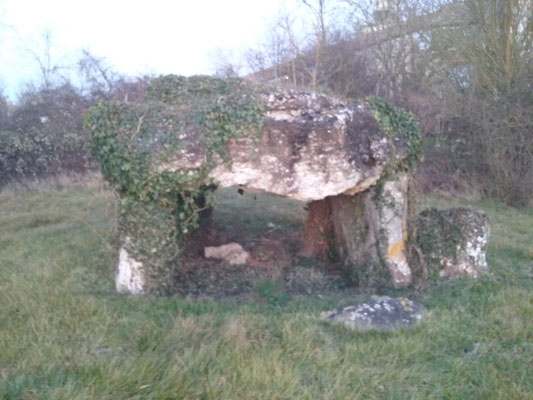 Dolmen de la Pierre Levée (Villiers-au-Bouin)
