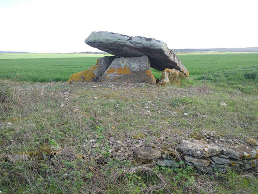 Dolmen dit la Pierre Levée (Saint Léger de Montbrun)