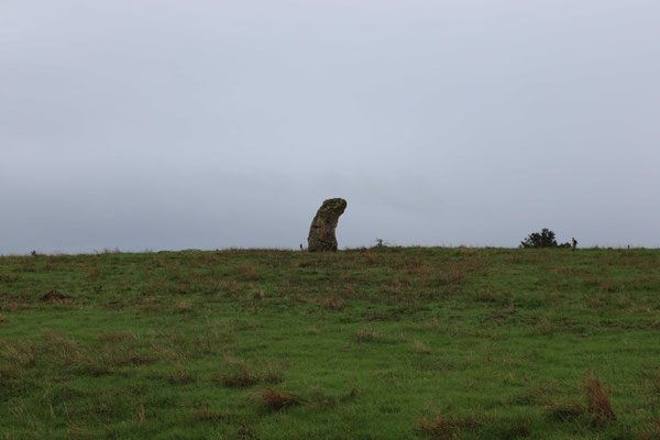 Menhir du Grand-Aslon (Lingé)