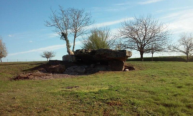 Dolmen de la Fontaine (B) (Saint-Léger-de-Montbrillais)