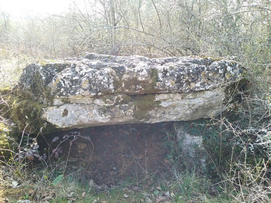 Dolmen de Pouzac (Roches-Prémarie-Andillé)