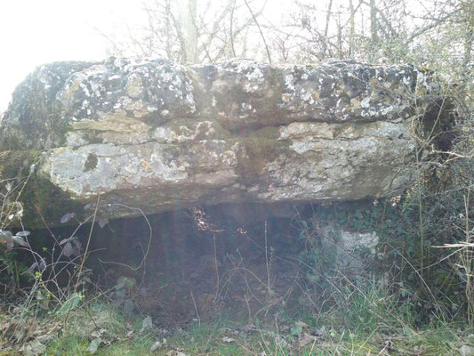 Dolmen de Pouzac (Roches-Prémarie-Andillé)