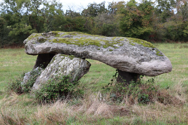 Dolmen dit la Pierre Là (Saint-Plantaire)