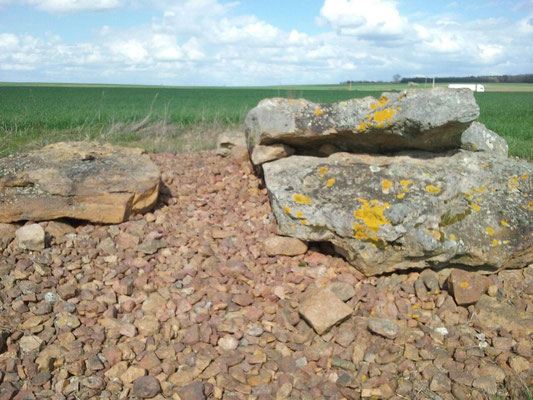 Dolmen de Maranzais (D) (Taizé)