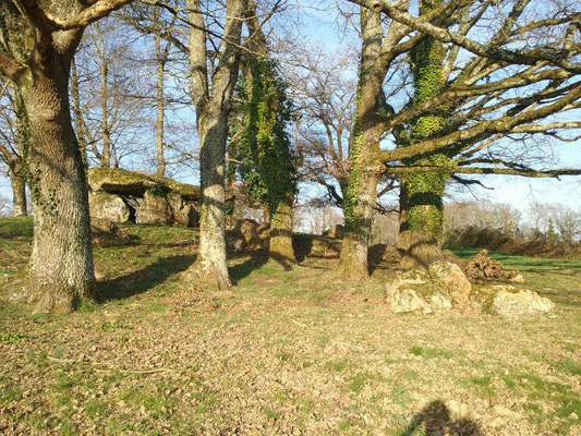 Dolmen de Chiroux dit La Pierre-Levée (Plaisance)