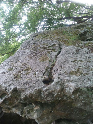 Dolmen de la Pierre Chaude (Paulmy)