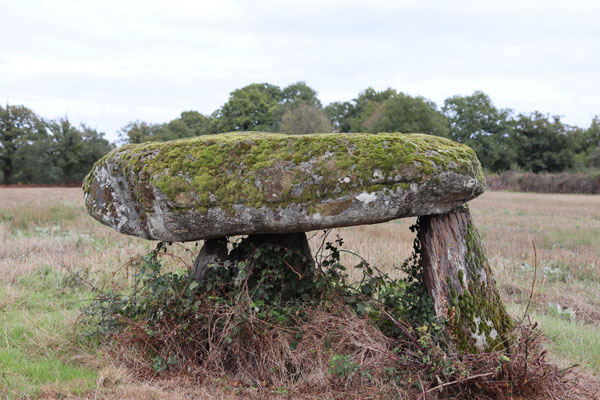 Dolmen des Gorces (Montgarneau)