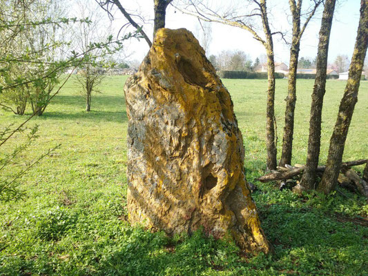 Menhir de Vintray (Aslonnes)