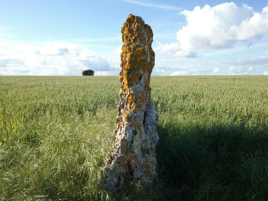 Menhir dit Grosse Pierre (Vouillé)