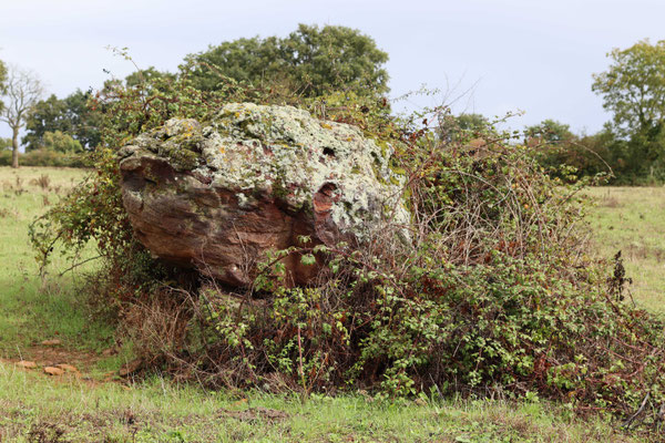 Dolmen des Fromenteaux (Chaillac)