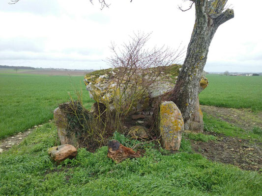 Dolmen de Vaon (Trois-Moutiers)