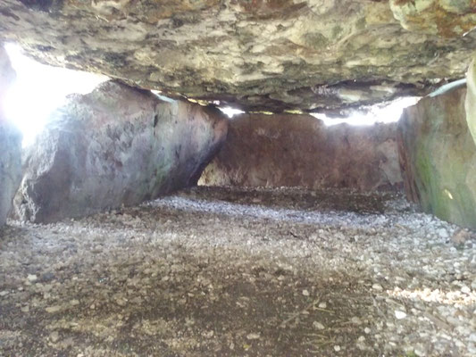 Dolmen dit de Mettray (Saint-Antoine-Du-Rocher)