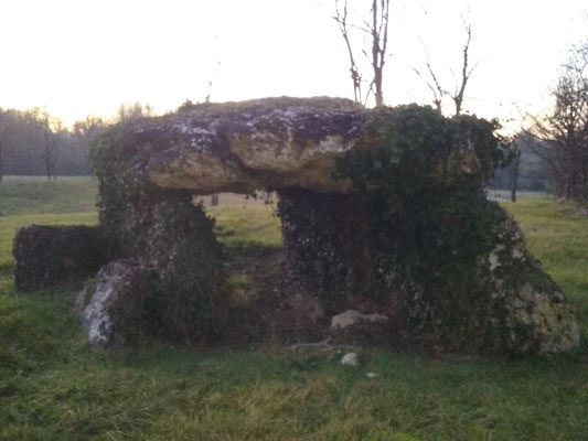 Dolmen de la Pierre Levée (Villiers-au-Bouin)