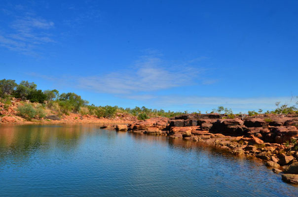 Son habitat, région de Kimberley