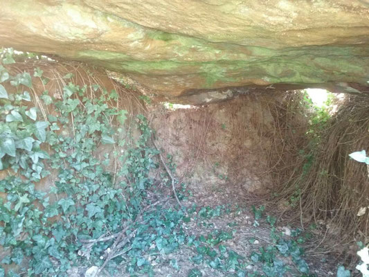 Dolmen dit la Pierre de Tartahuiche (Taizé)